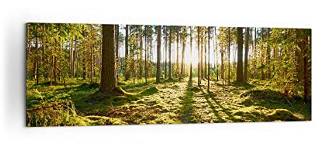 ARTTOR Bilder auf Leinwand 160x50cm Wandbild Landschaften Wald - 3724 | Baum Natur Panorama Groß XXL Wanddekoration Wohnzimmer Schlafzimmer Wanddeko Wand Kunstdruck Wandkunst Wall Decor ARTTOR