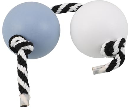 TOYANDONA Shaker Musical Portatif Pour Percussion Traditionnelle Balle Rythmique à Main Comme Instrument De Ballon Shaker Pour Musiciens Débutants