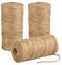 Anruyi 2 Cuerdas de Yute Natural para Regalo, 100 Metros, para jardín, 3 Capas, 2 mm, Color marrón, para Manualidades, Cuerda de cáñamo, Cuerda de Embalaje, Cuerda de jardín, para Manualidades