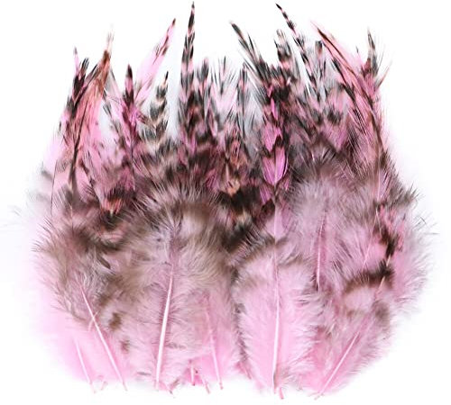 ihreesy 100 Stück Hahnenfedern Natur Dekoration 8cm-13cm Bunt Bastelfedern Fasan Feder für DIY Handwerk Basteln Kopfschmuck Ohrringe Traumfänger Hüte Basteln Zuhause Hausparty Deko,Rosa