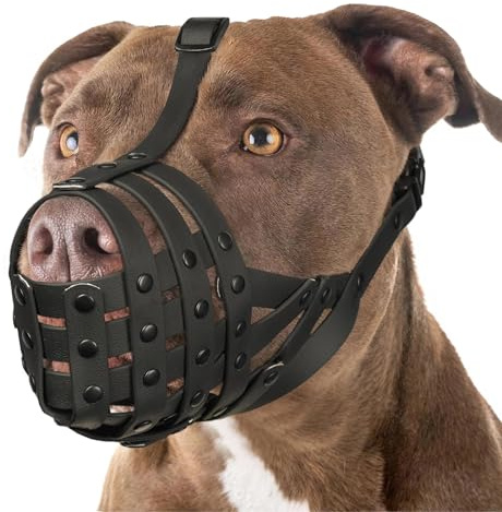 Mayerzon Pitbull-Maulkorb für große und mittelgroße Hunde, um Beißen zu verhindern, Korbmaulkorb für Rottweiler Staffordshire Terrier beim Fellpflegetraining, ermöglicht das Trinken in der Hose