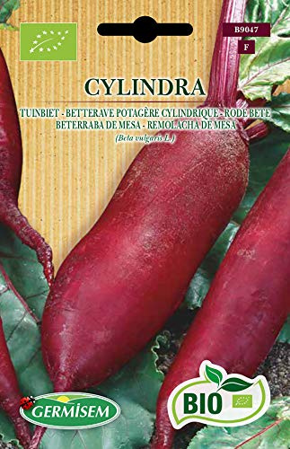 Germisem Bio Graines Betterave potagère Cylindrique CYLINDRA