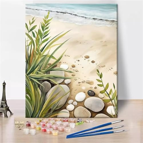 Aimaor Malen Nach Zahlen Erwachsene,Pflanzen Steine Paint by Numbers Adult Bastelset Malen-Nach-Zahlen Kinder Anfänger Leinwand Kreativ Set DIY Set Malen nach Zahlen（DIY Frame） 50x65cm