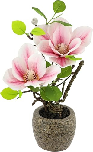Künstliche Magnolie im Topf 33 cm wie echt Deko Kunstblumen Blume Zimmerpflanze Baum klein Geschenk Magnolienblüten Frühjahrsblume Blätter Kunstpflanze Frühjahrsdeko Frühjahrsblüher Topfblume, Rosa