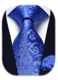 HISDERN Herren Hochzeit Krawatten und Einstecktuch Set Paisley Krawatte Jacquard Einfarbige in Verschiedenen Farben