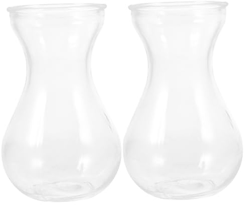 Cabilock 2pcs Hyacinth Glass Vase Mini Pots for Plants Wedding Decorations Home Office Garden Simple Style Flower Arrangement Container