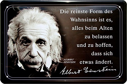 WOGEKA ART Retro Blechschild - Die reinste Form des Wahnsinns ist es - witziger Spruch als Geschenk-Idee zum Geburtstag Weihnachten Dekoration 20x30 cm Vintage-Design Metall 491