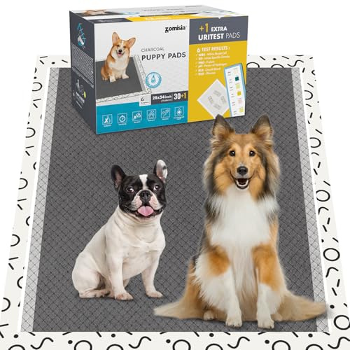 ZOMISIA Charcoal Puppy Pee Pads for Dogs Extra Large, 86x70 cm 30 Counts | + 1 Extra Health Monitoring Pad, XL Dog Potty Training Pads Disposable, Odor-Control, Super Absorbent & Leak-Proof