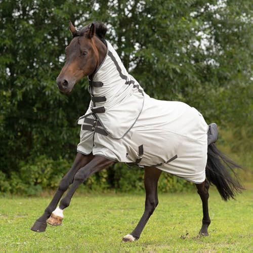 BUSSE Outdoor-Fliegendecke Sunshine II, Silber (anthrazit), Rückenlänge 125 cm - Plus