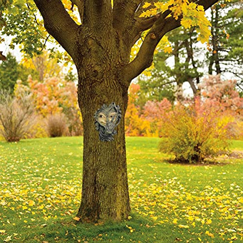 RASTKY Décoration Murale Mystique en Forme de Visage d'arbre, Statue de Jardin de Haute qualité, Style Unique pour Arrière-Cour, 7,9 X 5,9 X 2,2 Pouces (White)