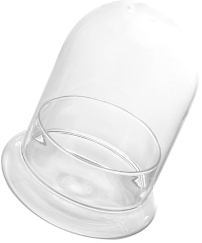 MAGICLULU Bouteille en Verre pour Micro-Paysage DIY avec Mousse Décorative Résistante la Sécheresse, Jardinière Transparente pour Fleurs et Plantes D’intérieur