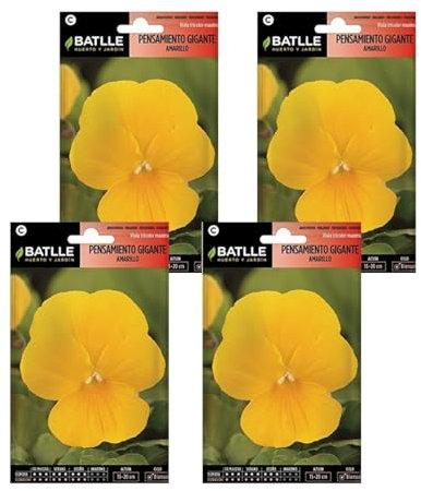 Semillas de pensamiento amarillo gigante de Semillas Batlle PACK (4)