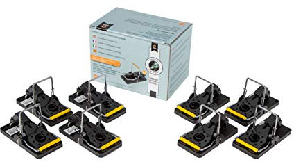 Köder-Discount 8 x Profi Mausefalle Schlagfalle - Solide Wiederverwendbar Hygienisch für Haus & Garten