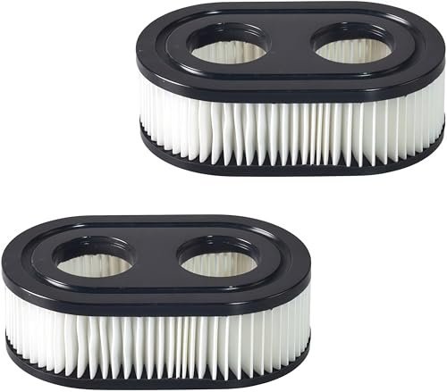 NEWHE 2 filtri dell'aria di alta qualità per motori Briggs & Stratton 550E 550EX Eco-Plus 575EX Series filtro dell'aria tosaerba, numero di riferimento 798452 798339 593260 093000er 09P0000er, 4247,