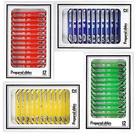 Mikroskop vorbereitete Objektträger für Kinder, Bysameyee Kunststoff 48 Stück Tiere Insekten Pflanzen Blumen Probenproben für Schüler Homeschooling Biologie Wissenschaftsprogramme (48Stück)
