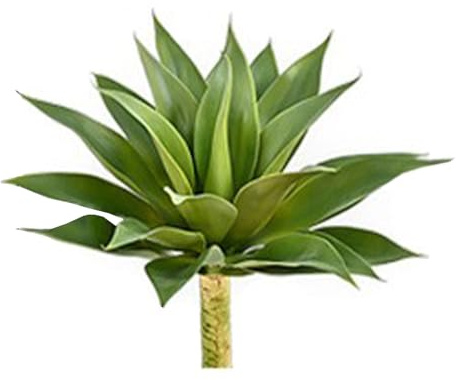 BestAlice Plantas Suculentas de Agave Artificiales, Plantas Suculentas de Agave Falsas, Plantas Verdes Simuladas, Plantas Realistas, Manualidades, Decoración Verde, Plantas(17,7x17,7 pulgadas)