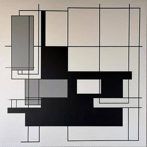 Malen Nach Zahlen Erwachsene Schwarze und weiße Blöcke, DIY Kreativ Set Erwachsene, 100x100cm Malen Nach Zahlen Kinder und Anfänger, mit Pinseln und Acrylfarben Handgemalt Ölgemälde Leinwand D-712