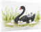 Schwan Puzzle 3000 Teile Erwachsene Puzzle Tier Design für Erwachsene und Beginner, HD Farbe HolzPuzzle mit Geschenkbox Verpackung for Zimmer Deko Wohnzimmer, Geschenke für Frauen 80x120cm -z1846