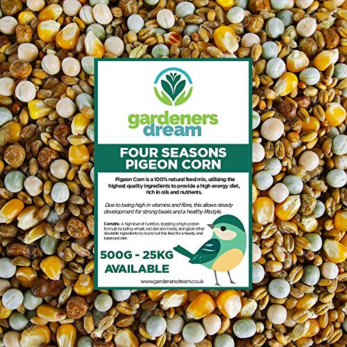GardenersDream Four Seasons Pigeon Corn | Premium Grade Natural Food Mix | Rich in Nutritious Oils, Vitamins and Minerals | Perfect Year-Round Wild Bird Seed Feed | High in Energy & Protein (1kg)