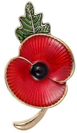 Lest We Forget Poppy Pin Badge Brooch Remembrance Day Poppy Badges and Pins