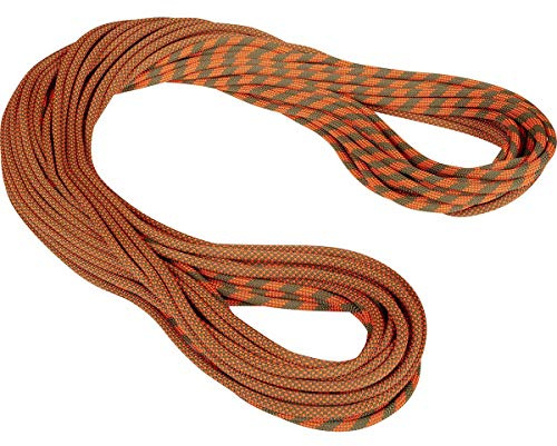 Mammut 9.5 Crag Dry Kletterseil, boa-Safety orange, 50m