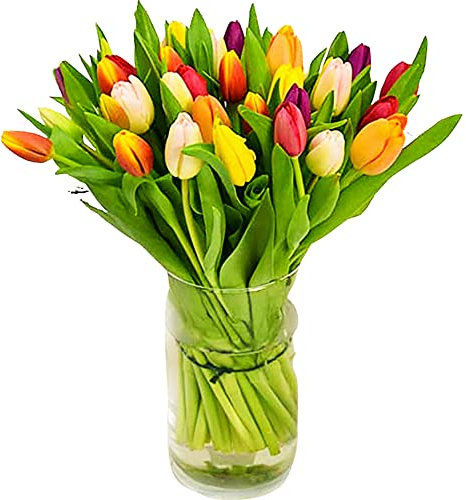 Tulip Selection Hand-Tied, Beautiful Fresh Flowers, A Perfect Mother's Day Fresh Flower Gift