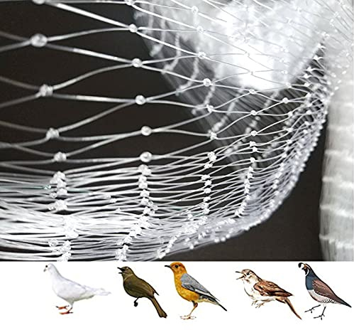Vogelschutznetz, Vogelnetz Engmaschig Stabil Obstbaumnetz, Pflanzenschutznetz für Obst Gemüse Blumen Nylon Garten Vogelabwehrnetz Weiß (Mesh : 2.5cm, Size : 3m x 15m)