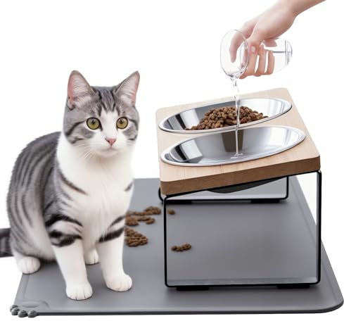 Upgraded Elevated Cat Bowls with Food Mat,15°Tilted Stand Anti Vomiting Raised Cat Dishes for Food and Water,2 Stainless Steel Bowls for Cats and Puppy