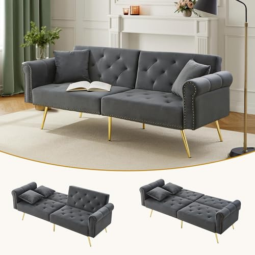 Merax Modernes 2-Sitzer Schlafsofa, 173x75x70cm, mit Samtbezug, 3-stufig Verstellbarer Rückenlehne, Metallfüßen, verstecktem Stauraum, für kleine Räume, inkl. 2 Kissen, platzsparend, Antikgrau