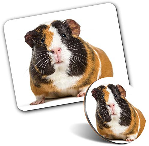 Rectangle Mouse Mat & Round Coaster Set - Brown & White Guinea Pig 20 cm & 9 cm for Computer & Laptop, Office, Gift, Non-slip Base #44461