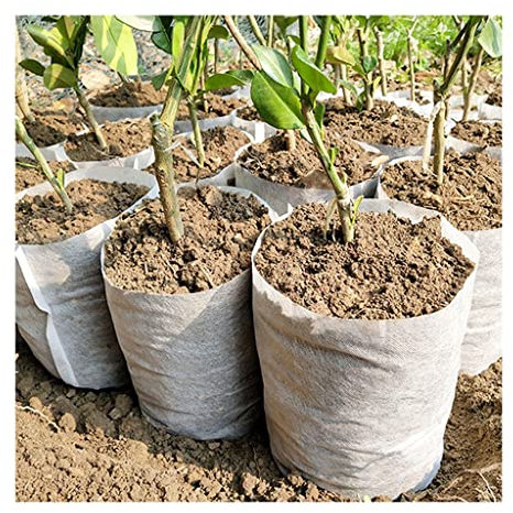 FIDALIKA Biologisch Abbaubare Vliesstoff-Kindergarten-Pflanze Köstliche Taschen, for Sämling Wachsender Pflanzer Pflanzentöpfe Garten Umweltfreundliche Belüftungstasche (Size : 20x22cm (50pcs))