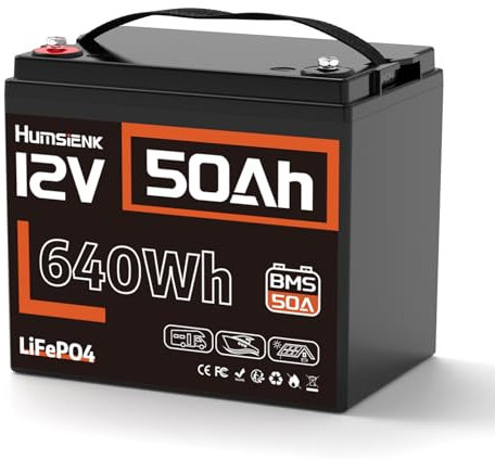 Batterie au lithium LiFePO4, 12,8 V, 50 Ah, 15 000 cycles, 50 A BMS, protection contre le froid, pour camping-car et stockage d'énergie