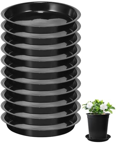 WINXMIN 10Pcs Platos Macetas Redondos Plástico Negro, Plato Maceta, Platillos para Plantas, Bandejas Base para Tiestos Maceteros, Uso Interior Exterior Jardín Hogar Balcón Terraza (16 cm)