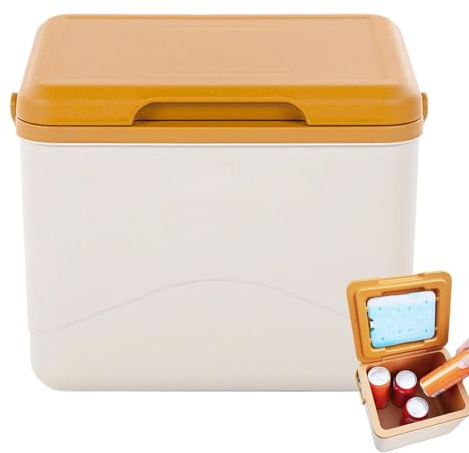 Borse termiche isolate da viaggio, impermeabili, contenitori termici per il ghiaccio, 5 l, a prova di perdite, per picnic, spiaggia, campeggio, picnic