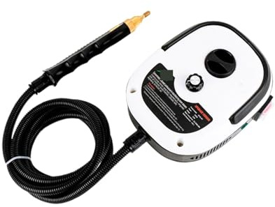 Limpiador a Vapor Industrial, Limpiador a de 2500W, esterilización a Alta Temperatura, Aire Acondicionado, capó Cocina, Limpiador Coche, electrodomésticos(Rot)