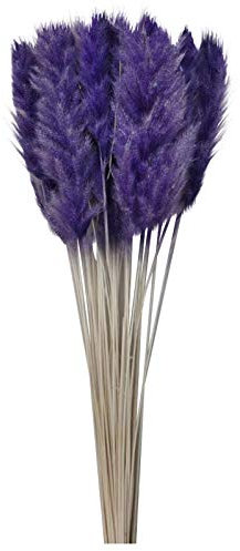 Muium(TM) 15 Stück Pampasgras Getrocknet Deko, Farbig Trockenblumen Vasen Getrocknete Blumen 60cm, Blumenstrauß Boho Deko Schlafzimmer Wohnzimmer Balkon Badezimmer Zimmer Tischdeko Hochzeit (Lila)