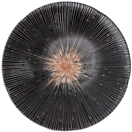 Bloom Minoyaki Traditional Sendan Tokusa Japanese Style Ceramic Dinner Deep Plate - Assorted Colour Ø22cm | H4.5cm (Set of 4) (Black)