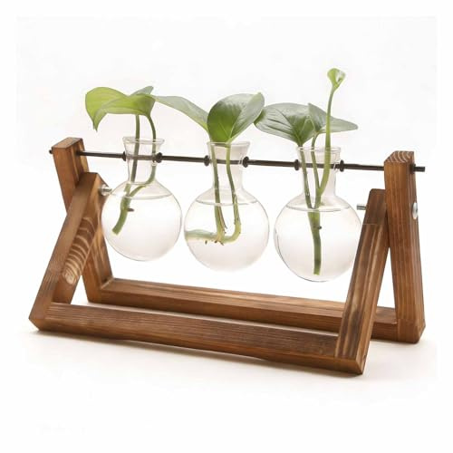Tyatiyzn Jarrón Cristal hidropónico, Vidrio hidropónico propagación, Estación propagación Vintage, para decoración de Mesa, hogar Vintage, Accesorios de Oficina.
