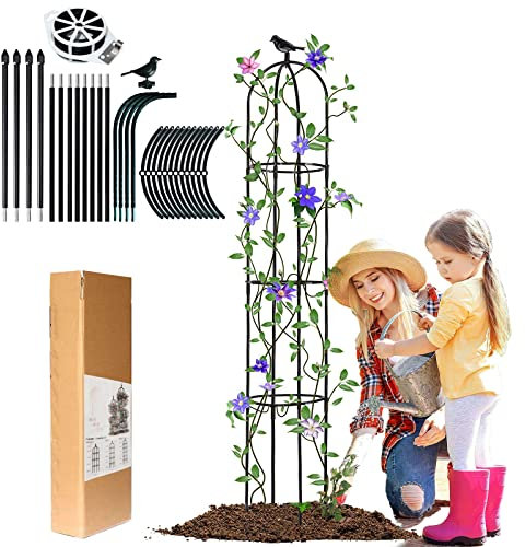 LIBRNTY Obelisco Supporti per pinate rampicanti, 2022 nuovisima testa fissa decorativa per uccelli,146cm Arco sostengo per Rose Fiori Giardino,Guardiano delle Piante