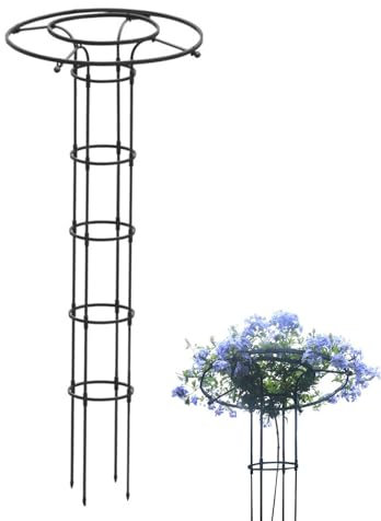 Tour grimpante pour fleurs en métal, treillis vertical en métal pour grimpantes et fleurs, cadre en treillis extérieur, support de fleur pour grimpantes et roses