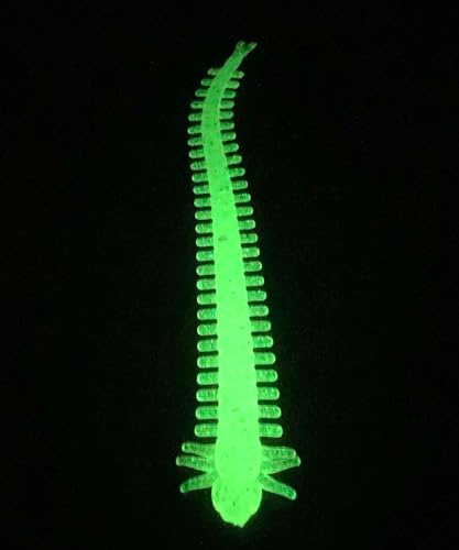 4 Ragworm Glow in the Dark Bass Fishing, Soft Plastic, Drop Shot, Soft Plastic Baits, Bass Fishing Lures, baits, Soft Worm Lures, White with Green Glow x12