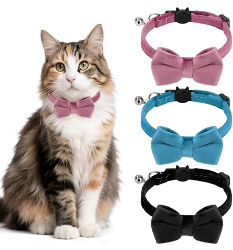 Halsband Katze Fliege Halsband Verstellbare Katzenhalsband mit Fliege und Glocke Personalisiert Haustierzubehör für Haustiere Katzen 3 Farben