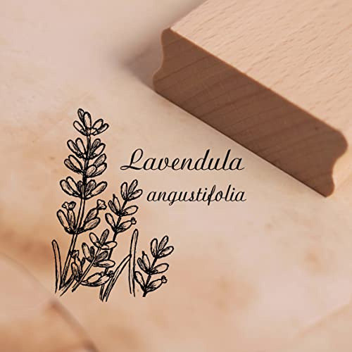 Motivstämpel lavendel Lavandula angustifolia-stämpel 48 x 48 mm, Stämplar