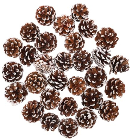 ENLACE 30 Stück Tannenzapfen, ca. 3-4cm, Mini Weihnachten Tannenzapfen mit Weißer Anstrich, Natürliche Kiefernzapfen Deko für Weihnachtsdeko DIY Handwerk Weihnachtsbaum Herbst Winter Dekoration