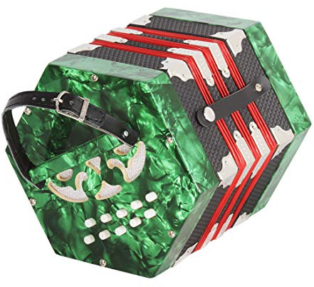 Acordeón hexagonal de 20 teclas ABS para rendimiento adulto principiante acordeón con bolsa (verde)
