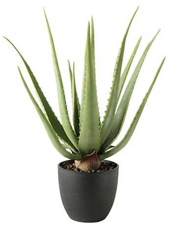 MichaelNoll Aloe Vera Pflanze, Kunstpflanze, Kunstbaum, künstliche Pflanze, Deko, im schwarzen Topf, sehr realistisch, Grün (45 cm - MN-KP-2218)