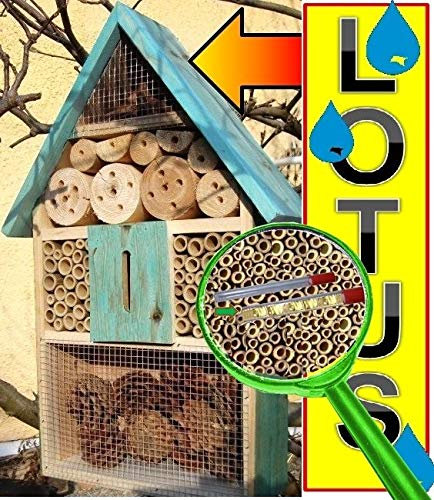 XXL Ölbaum Großer Nistkasten türkis meeresblau blau Insektenhotel Wildbienen-Haus LOTUS + 2 x Sichtglas + Marienkäferhaus + Schmetterlingshaus, Schaukasten Insekten Insektenhotel Wildbienen-Haus LOTU