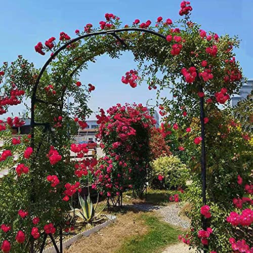 Arcos de jardín de metal fuerte de 20 mm de grosor, estable, impermeable, arco de rosas, enrejado de metal para plantas trepadoras, arcos decorativos multifuncionales, color negro, 3,2 m x 2,4 m