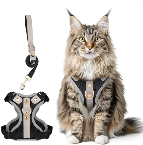 Ausbruchsicheres Katzen Geschirr & Leine Set, Verstellbares Reflektierendes Geschirr mit Atmungsaktivem Mesh und Hochwertigem Leder für Katzen & Kätzchen (Schwarz, XL)