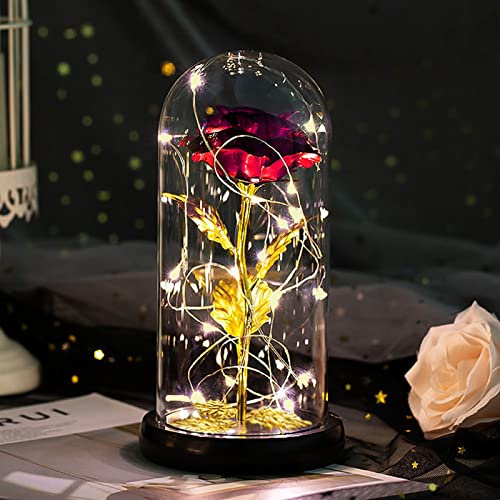Valentinstag Rose Geschenk für Sie Geschenke für Frauen Schöne und das Biest Rose Geburtstagsgeschenk für Frauen Ewige Rose im Glas Valentinstagsgeschenk für Sie Geschenk für Freundin Mama Mädchen Oma